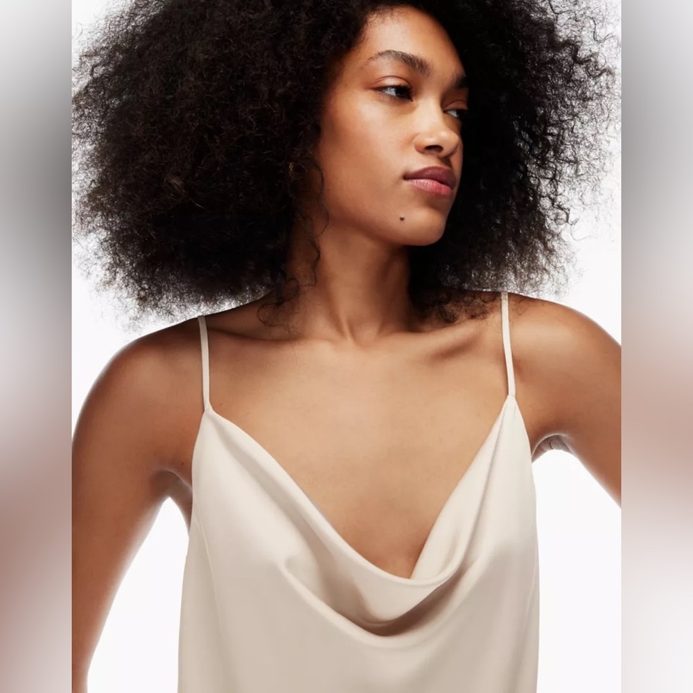Aritzia Babaton Cowlneck Camisole
